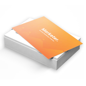 Business Cards 14 PT Matte